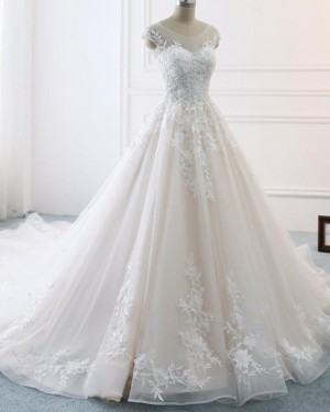 Champagne Scoop Pleated Lace Appliqued Wedding Dress WD2128