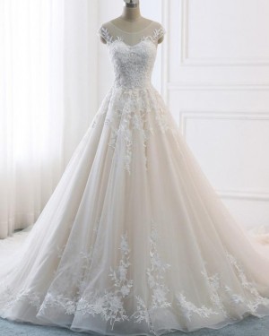 Champagne Scoop Pleated Lace Appliqued Wedding Dress WD2128